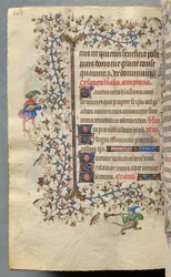 Ore di Carlo il Nobile, re di Navarra (1361-1425): fol. 278v, Testo