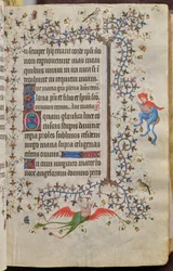 Ore di Carlo il Nobile, re di Navarra (1361-1425): fol. 31r, Testo