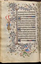 Ore di Carlo il Nobile, re di Navarra (1361-1425): fol. 31v, Testo