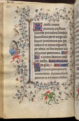 Ore di Carlo il Nobile, re di Navarra (1361-1425): fol. 43v, Testo