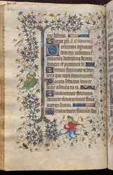 Ore di Carlo il Nobile, re di Navarra (1361-1425): fol. 55v, Testo