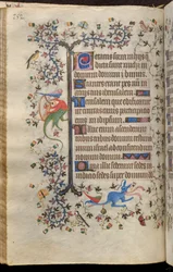 Ore di Carlo il Nobile, re di Navarra (1361-1425): fol. 76v, Testo