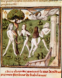 Adamo ed Eva che raccolgono il frutto proibito. Miniatura del Maestro del Campione delle Dame (XV secolo) dal manoscritto 