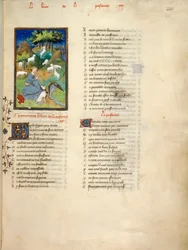 Pastorella guarda il suo gregge, dal 