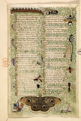 Vespe, falene, libellule e un bruco, da un Trattato sulle Virtù e i Vizi, e una storia anonima in prosa della Sicilia (frammento), c.1330-40