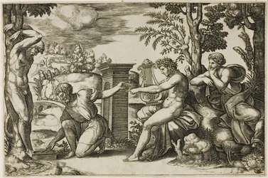 Apollo e Marsia