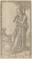 Euterpe