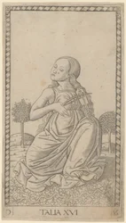 Talia