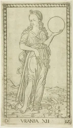 Urania, tavola dodici da Apollo e le Muse
