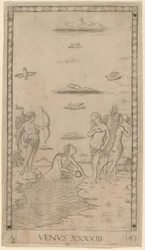 Venere