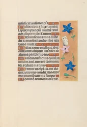Ore di Isabella la Cattolica, Regina di Spagna: Fol. 102r, c. 1500