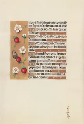 Ore di Isabella la Cattolica, Regina di Spagna: Fol. 106v, c. 1500