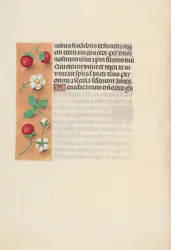 Ore di Isabella la Cattolica, Regina di Spagna: Fol. 125v, c. 1500