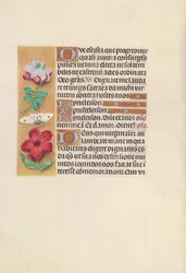 Ore di Isabella la Cattolica, Regina di Spagna: Fol. 129v, c. 1500