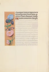 Ore di Isabella la Cattolica, Regina di Spagna: Fol. 145v, c. 1500