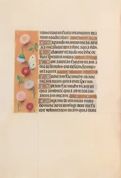 Ore di Isabella la Cattolica, Regina di Spagna: Fol. 209v