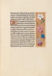 Ore di Isabella la Cattolica, Regina di Spagna: Fol. 218r