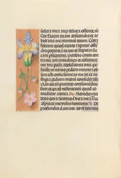 Ore di Isabella la Cattolica, regina di Spagna: Fol. 237v, c. 1500