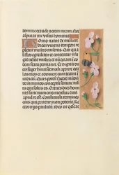 Ore di Isabella la Cattolica, Regina di Spagna: Fol. 238r