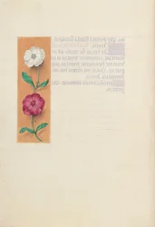 Ore della regina Isabella la Cattolica, regina di Spagna:  Fol. 23v