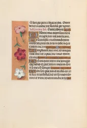 Ore della Regina Isabella la Cattolica, Regina di Spagna: Fol. 246v, c. 1500