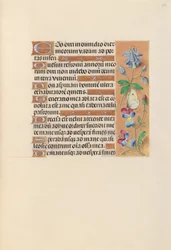 Ore della regina Isabella la Cattolica, regina di Spagna:  Fol. 251r