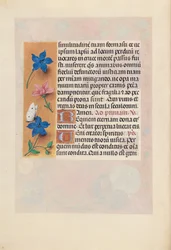 Ore di Isabella la Cattolica, Regina di Spagna: Fol. 25v, c. 1500