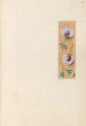 Ore di Isabella la Cattolica, Regina di Spagna: Fol. 279r