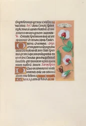 Ore della Regina Isabella la Cattolica, Regina di Spagna: Fol. 35r, c. 1500