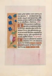 Ore della regina Isabella la Cattolica, regina di Spagna:  Fol. 38v