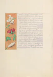 Ore della regina Isabella la Cattolica, regina di Spagna: Fol. 42v, c. 1500