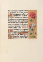 Ore di Isabella la Cattolica, regina di Spagna: Fol. 46r, c. 1500