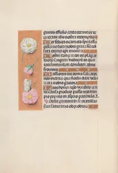 Ore di Isabella la Cattolica, Regina di Spagna: Fol. 58v, c. 1500