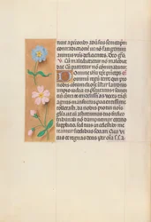 Ore della Regina Isabella la Cattolica, Regina di Spagna: Fol. 62v, c. 1500