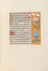 Ore della Regina Isabella la Cattolica, Regina di Spagna: Fol. 79r