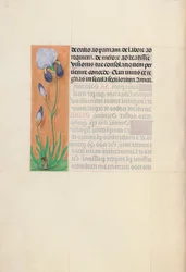 Ore di Isabella la Cattolica, regina di Spagna: Fol. 79v, c. 1500