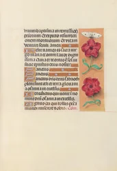Ore di Isabella la Cattolica, regina di Spagna: Fol. 92r