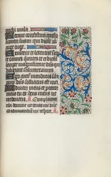 Libro d