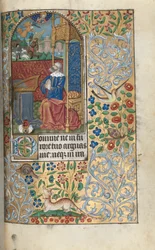 Libro d