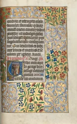 Libro d
