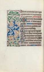 Libro d
