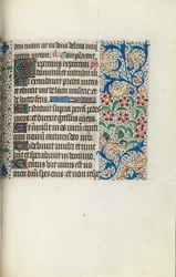 Libro d