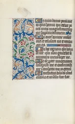 Libro d