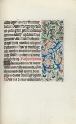 Libro d