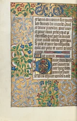 Libro d
