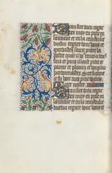 Libro d