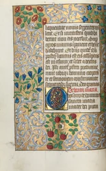 Libro d