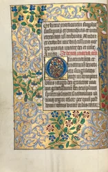 Libro d