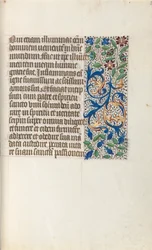 Libro d
