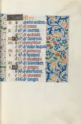Libro d